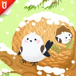 Panda Kiki’s Moment of Science: The Special Bird Nest