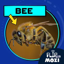 Bee (3/23/23)