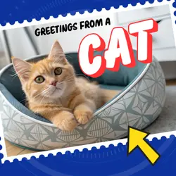 Postcards from Earth: Flip Meets a Cat