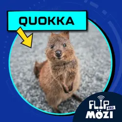 Quokka (3/9/23)