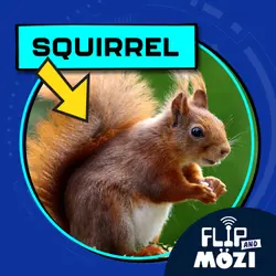 Squirrel