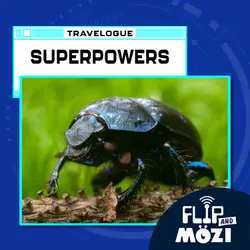 Travelpod: Earthling Superpowers