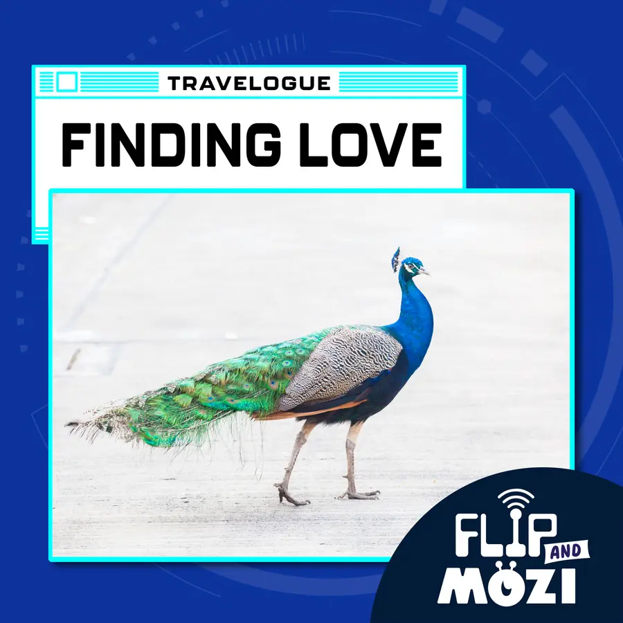 Flip and Mozi