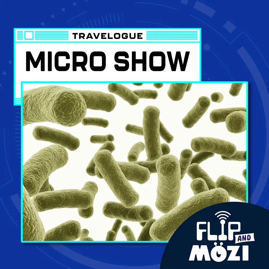 Flip and Mozi
