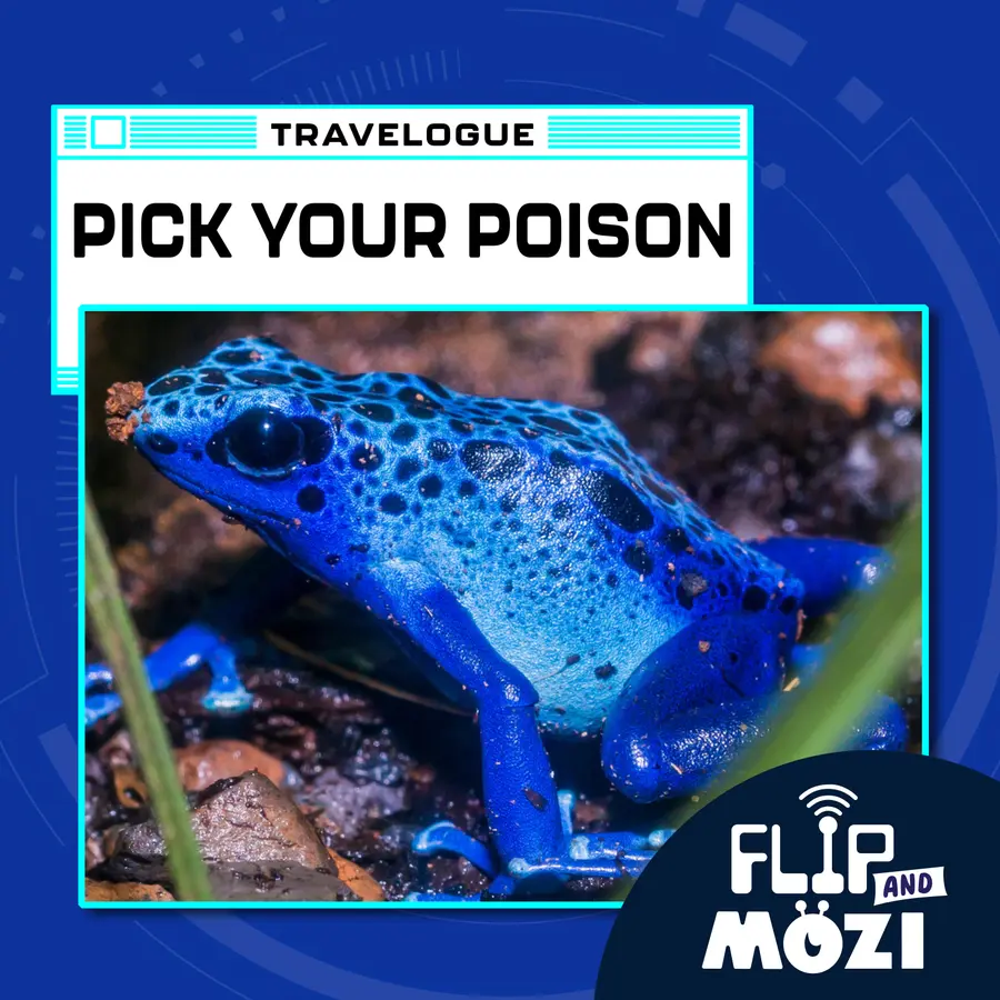 Flip and Mozi