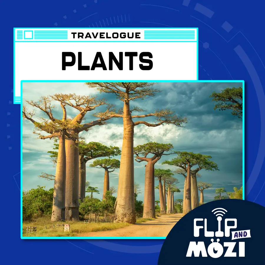 Flip and Mozi