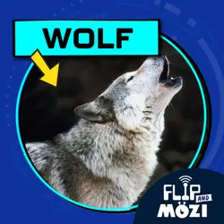 Wolf (7/13/23)