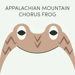 Appalachian Mountain Chorus Frog | Week of July 24th