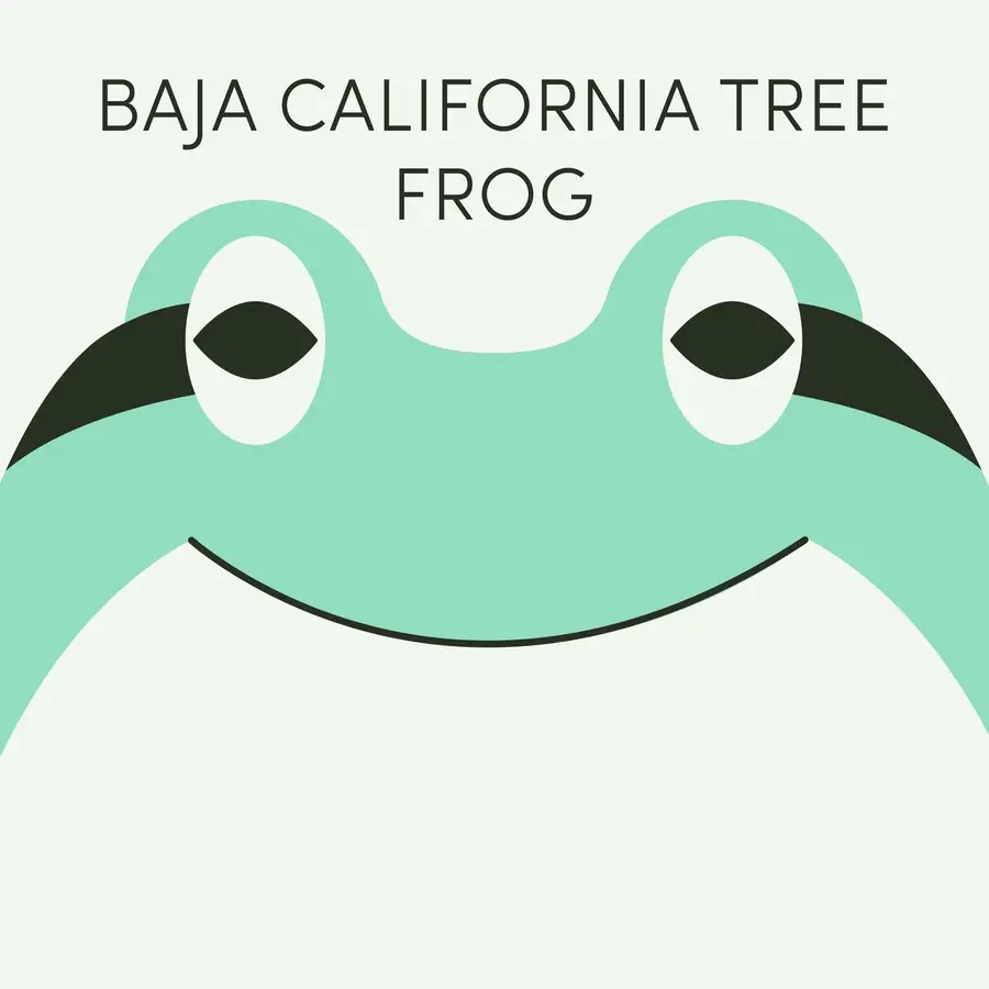 Frog of the Week
