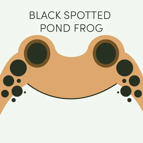 Frog of the Week