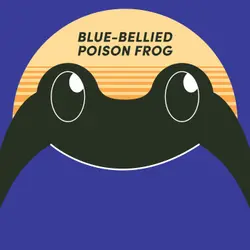 Blue-Bellied Poison Frog | Week of Dartch 31st