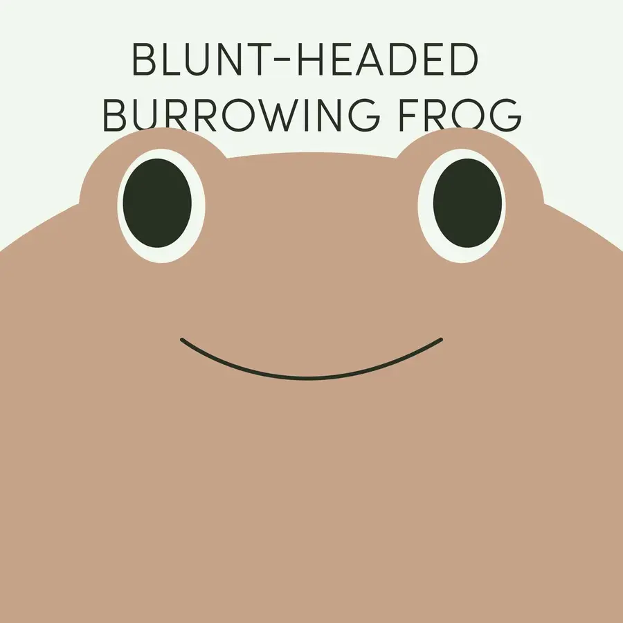 Frog of the Week