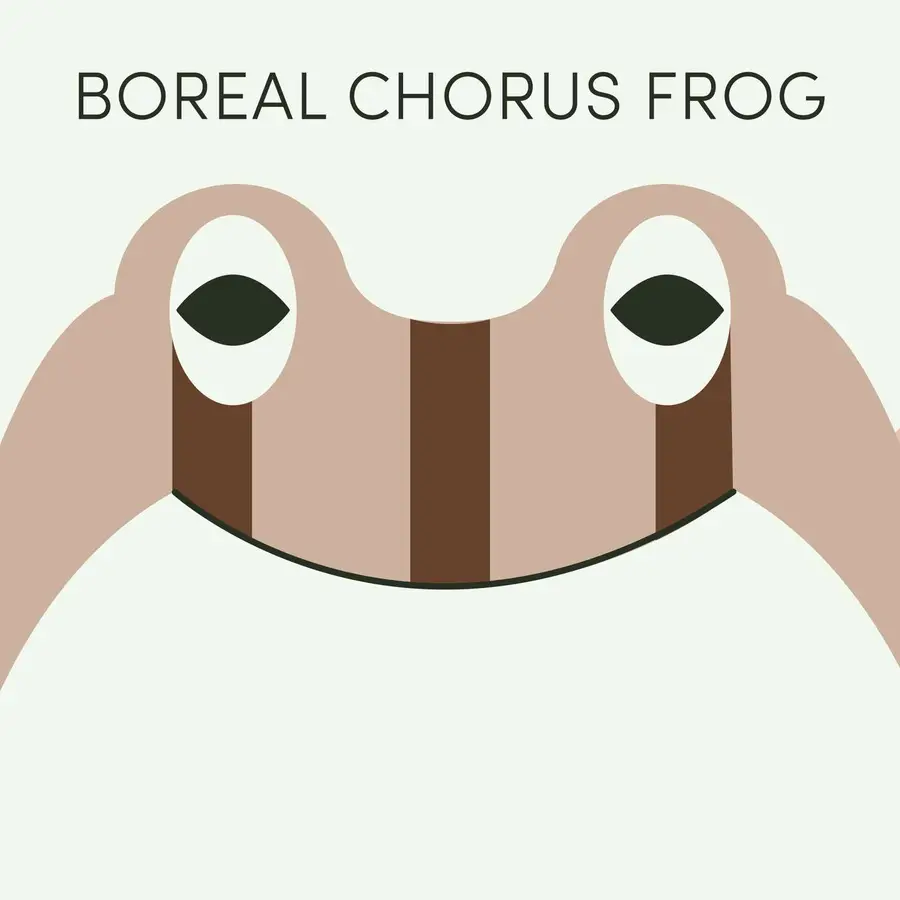 Frog of the Week