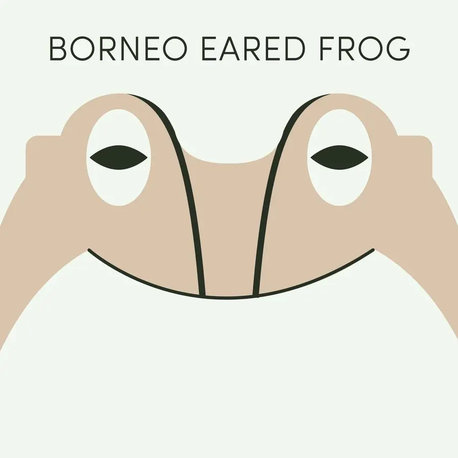 Frog of the Week