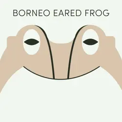 Borneo Eared Frog | Week of May 29th