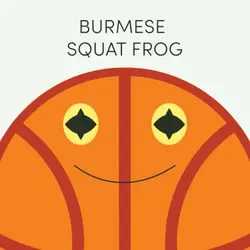 Burmese Squat Frog | Week of September 29th