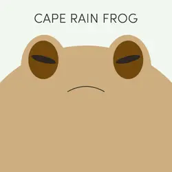 Cape Rain Frog | Week of July 20th