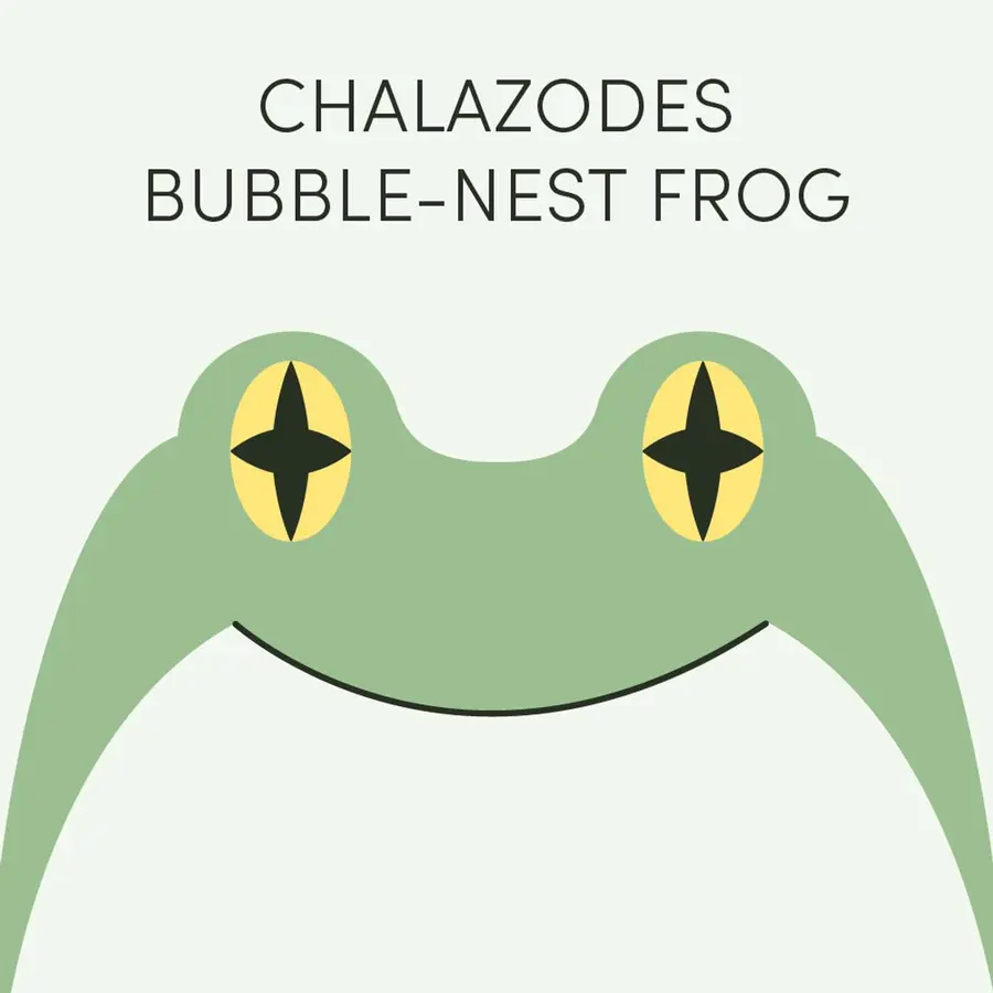 Frog of the Week
