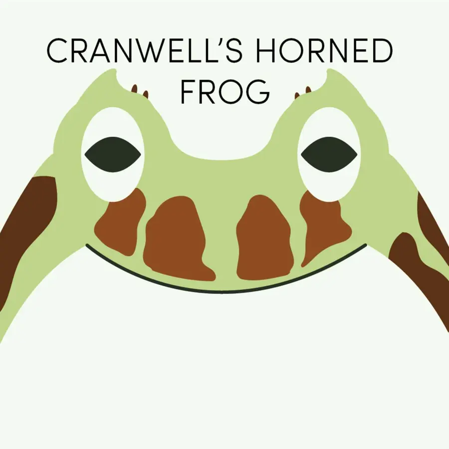 Frog of the Week