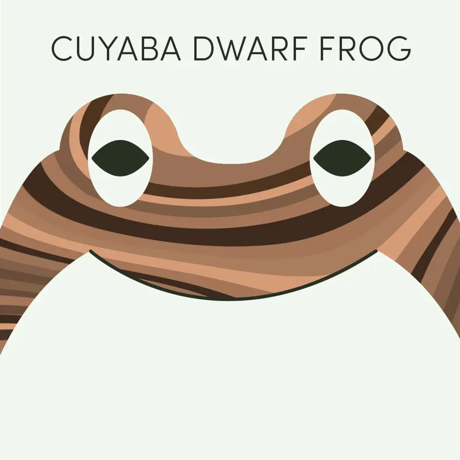 Frog of the Week