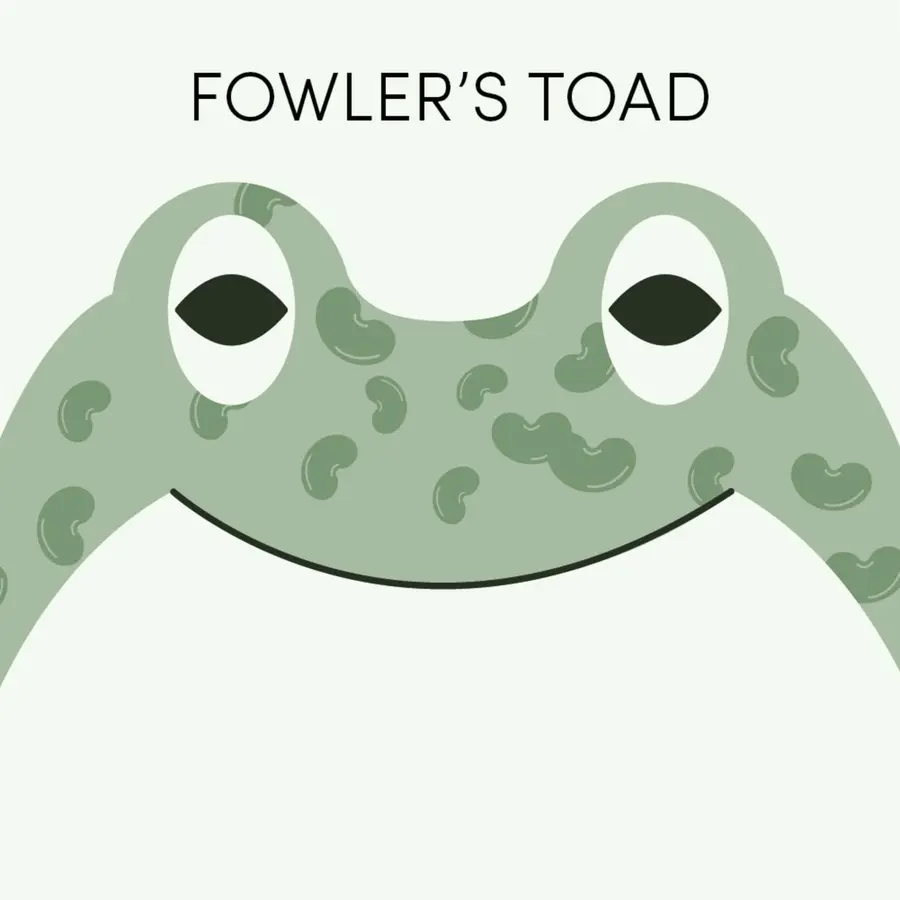 Frog of the Week