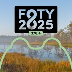 Frog of the Year 2025!