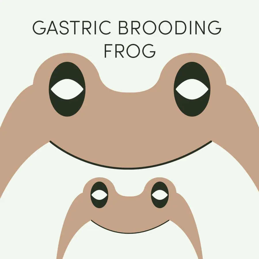 Frog of the Week