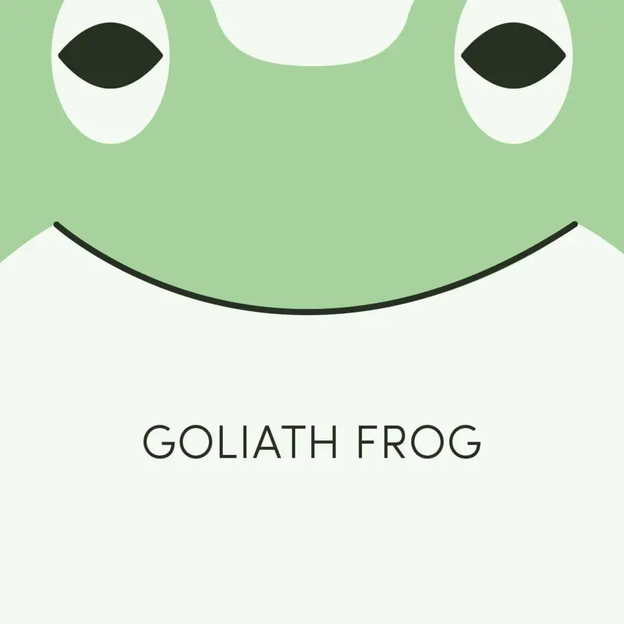 Frog of the Week