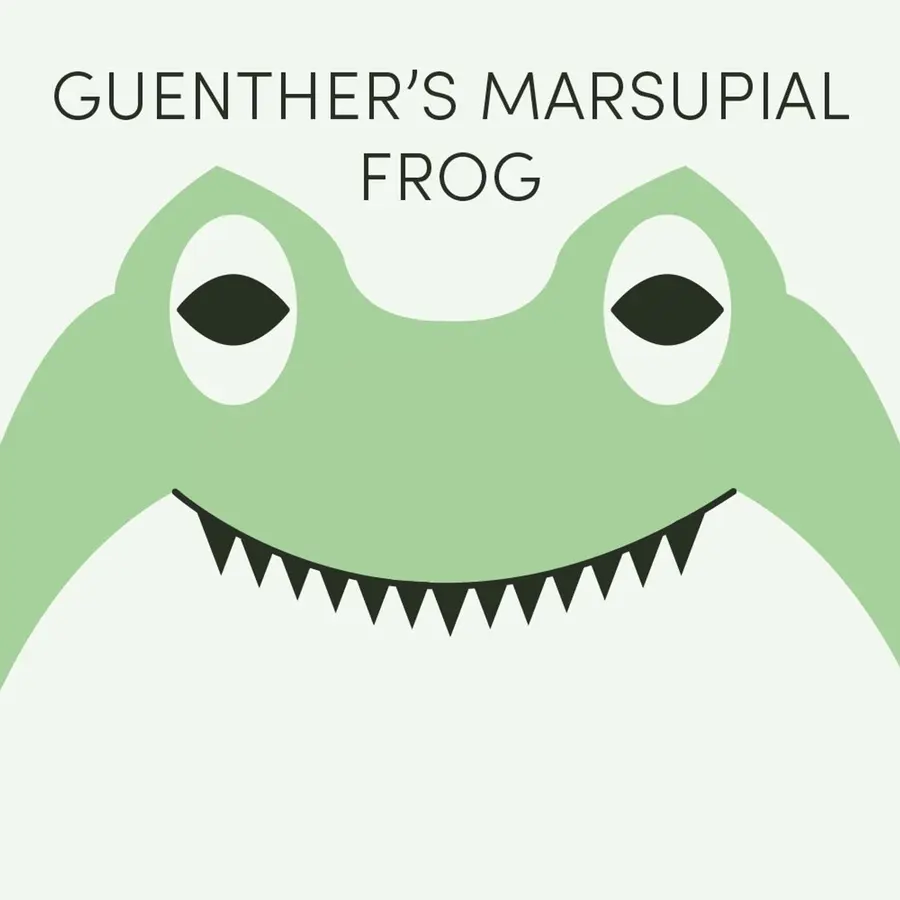 Frog of the Week