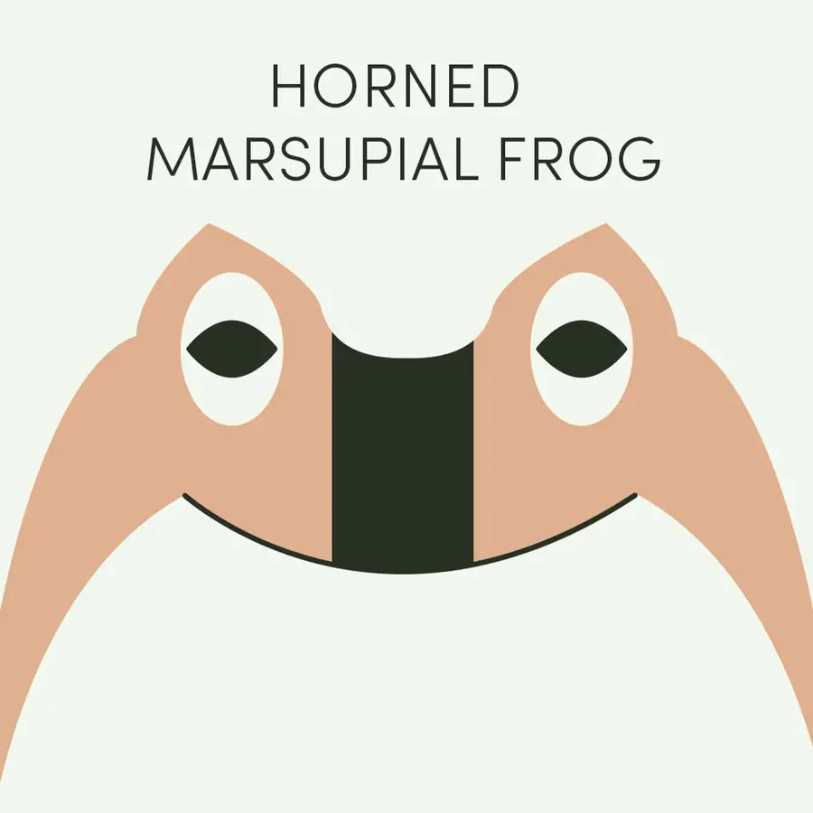 Frog of the Week