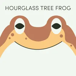 Hourglass Tree Frog | Week of September 18th
