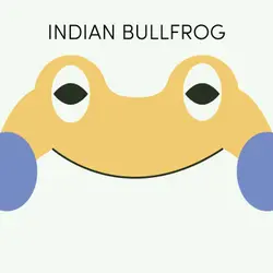 Indian Bullfrog | Week of September 27th
