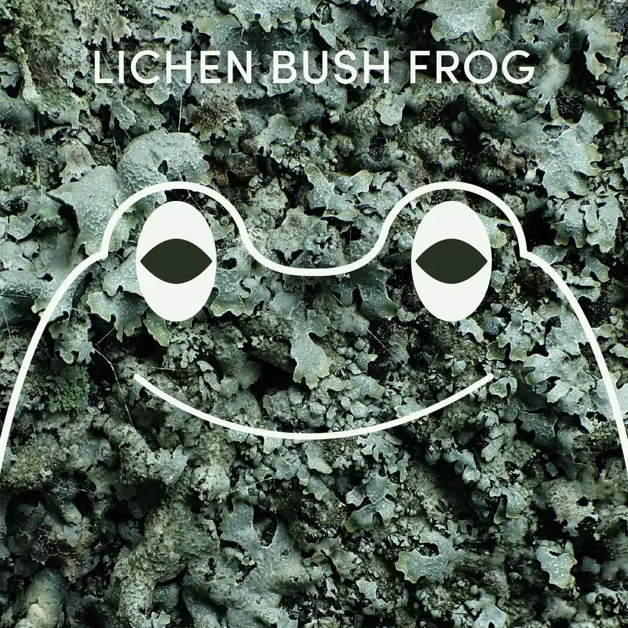 Frog of the Week