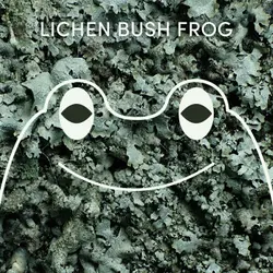 Lichen Bush Frog | Week of February 2nd