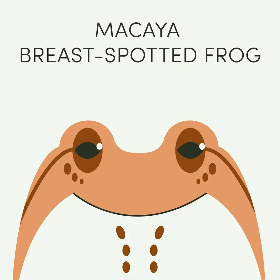 Frog of the Week