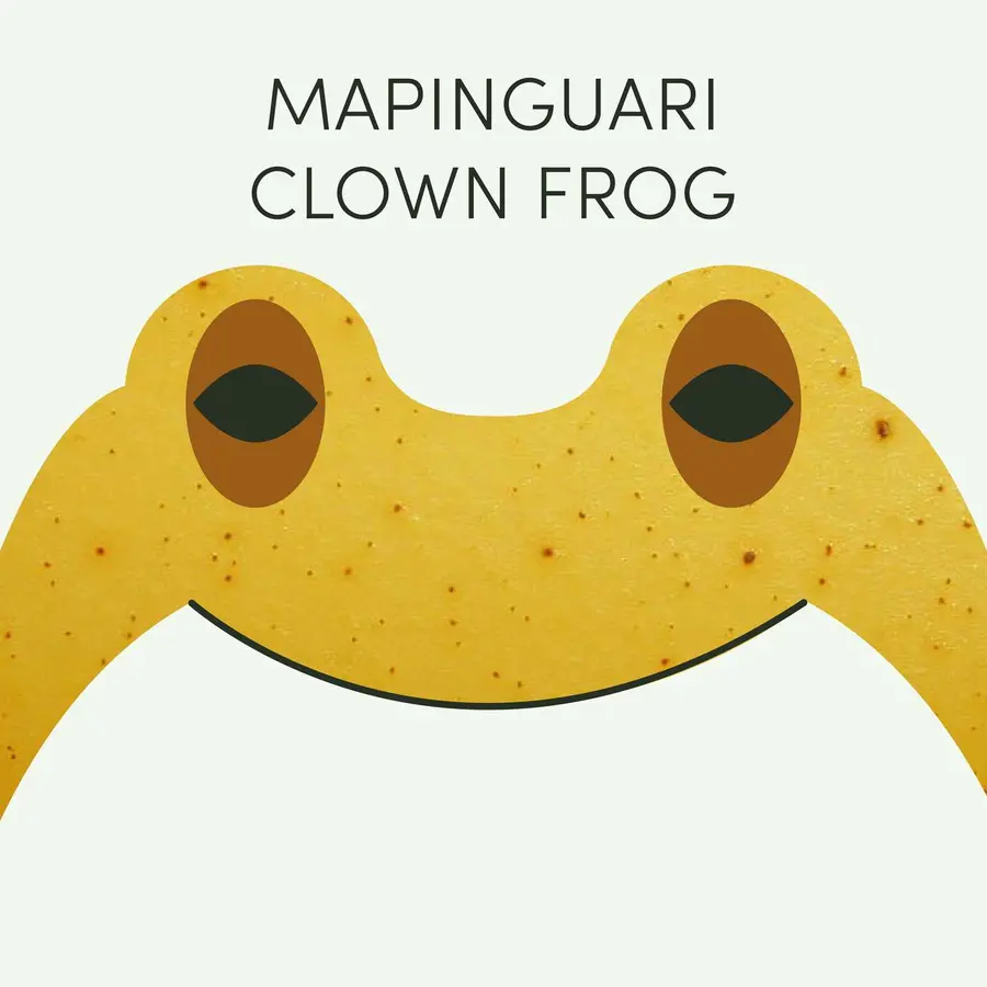 Frog of the Week