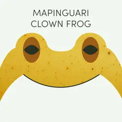 Mapinguari Clown Frog | Week of May 12th