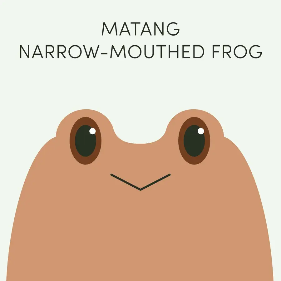 Frog of the Week