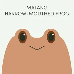 Matang Narrow-Mouthed Frog | Week of May 8th