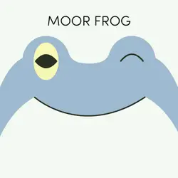 Moor Frog | Week of July 19th