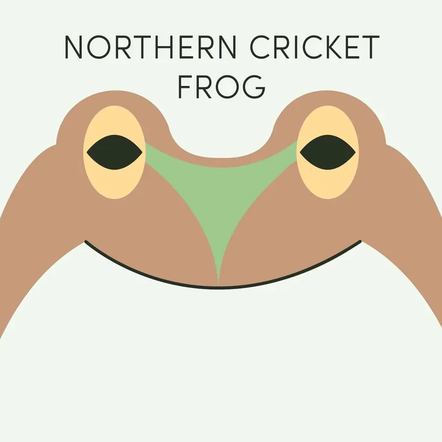 Frog of the Week