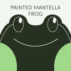 Painted Mantella Frog | Week of August 5th