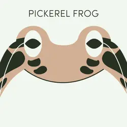 Pickerel Frog | Week of May 15th