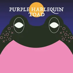 Purple Harlequin Toad | Week of OcTOADber 7th