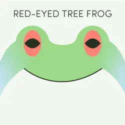 Red-Eyed Tree Frog | Week of April 4th