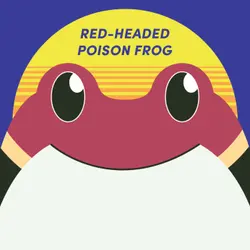 Red-Headed Poison Frog | Week of Dartch 18th