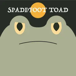 Spadefoot Toad | Week of OcTOADber 31st