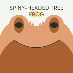 Spiny-Headed Tree Frog