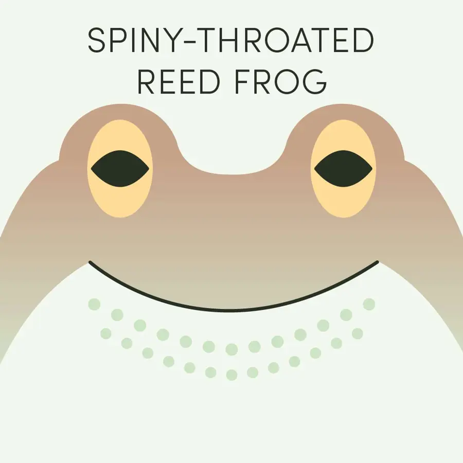 Frog of the Week