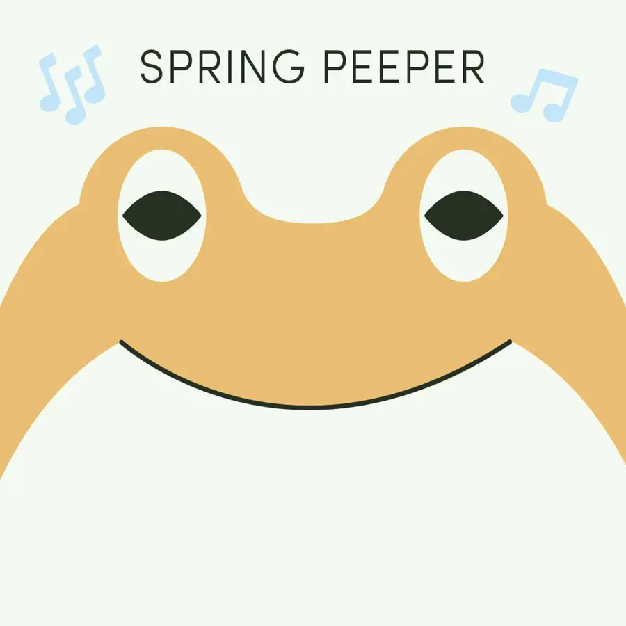 Frog of the Week